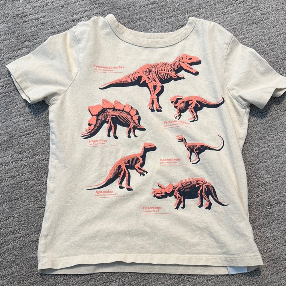 Gap Kids Organic Cotton Dinosaur Graphic Tee - Cream Sz S